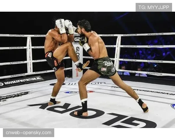 WBC女子超轻量级空缺金腰带战,卡罗琳·维雷对决德尔芬·佩尔松 WBC女子超轻量级空缺金腰带战,卡罗琳·维雷对决德尔芬·佩尔松